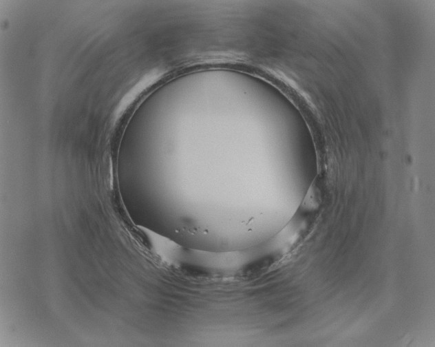 X0000076271317200610191729