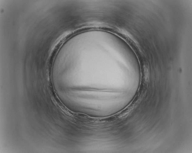 X0000076271318200610191729