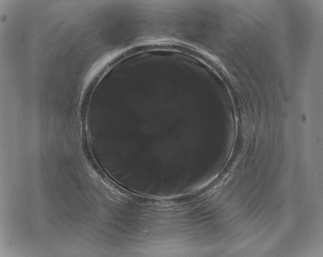 X0000076271319200610191729