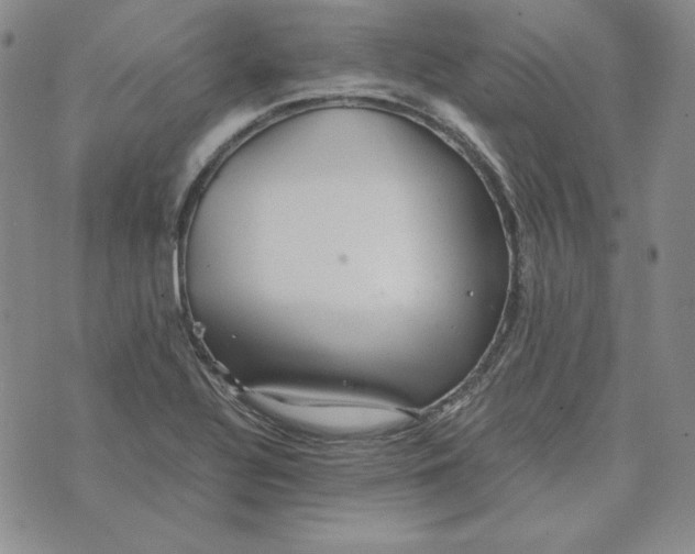 X0000076271320200610191729