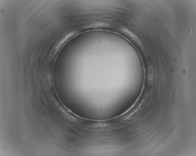 X0000076271321200610191729