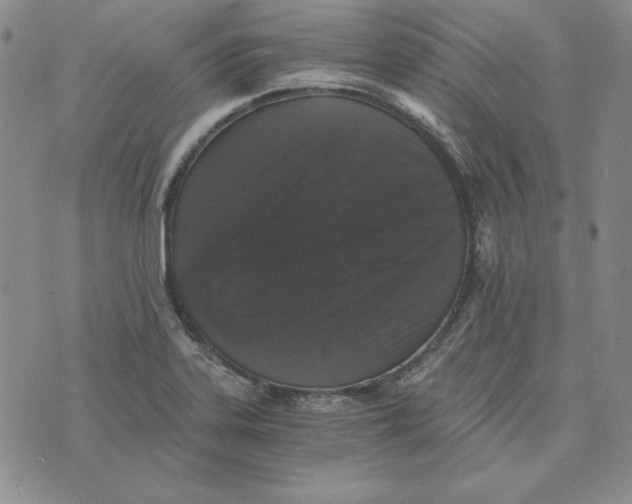 X0000076271323200610191729