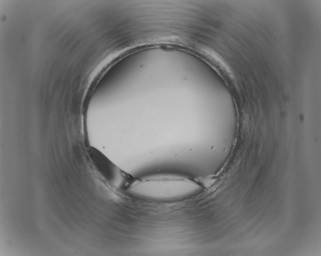 X0000076271324200610191729