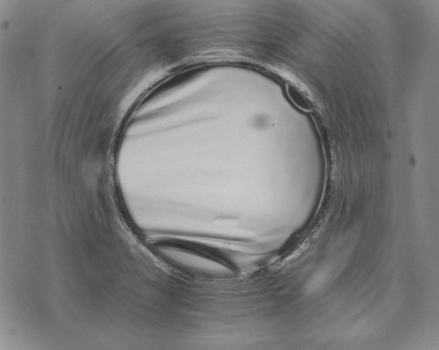 X0000076271325200610191729