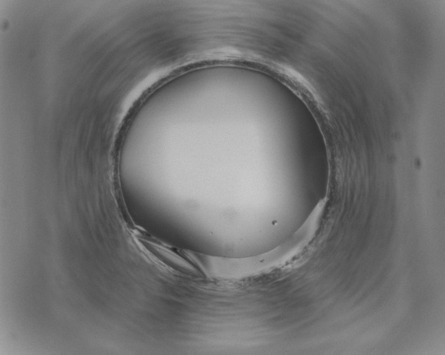 X0000076271326200610191729