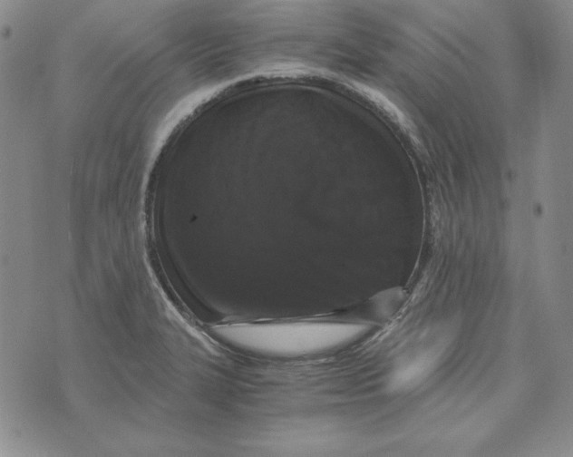 X0000076271327200610191729