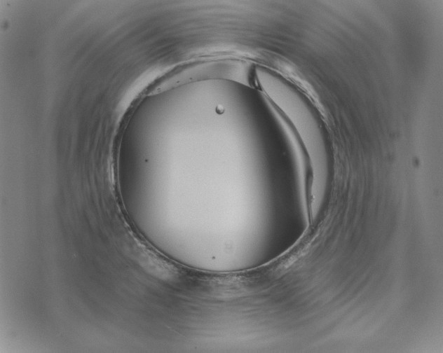 X0000076271328200610191730