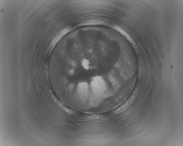 X0000076271329200610191730