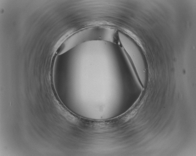 X0000076271330200610191730