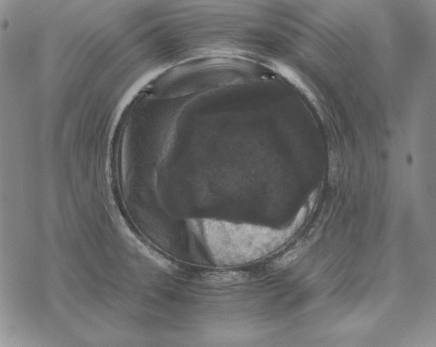 X0000076271331200610191730