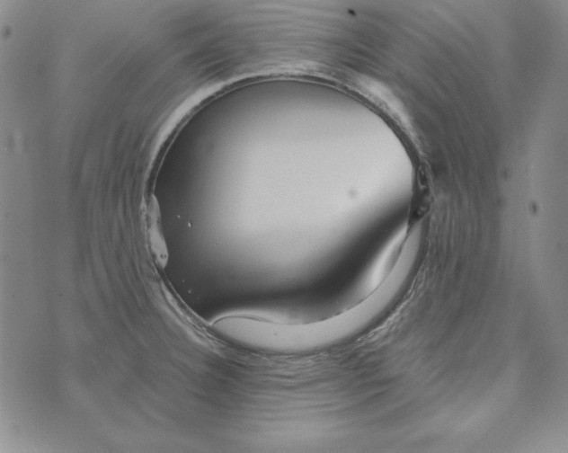 X0000076271332200610191730