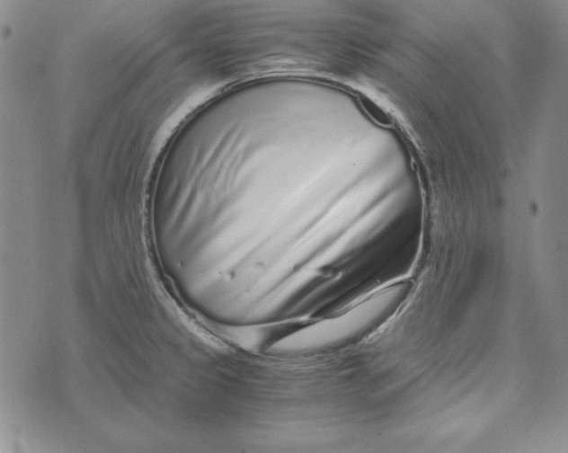 X0000076271333200610191730