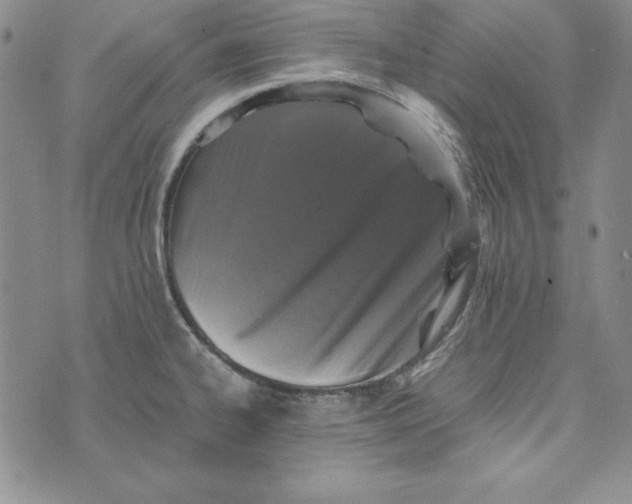 X0000076271334200610191730