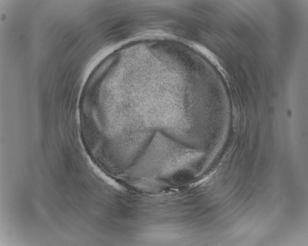 X0000076271335200610191730