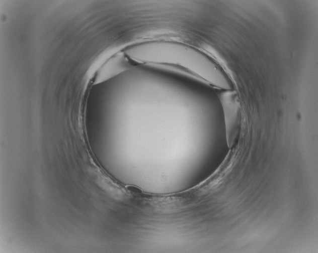 X0000076271336200610191730