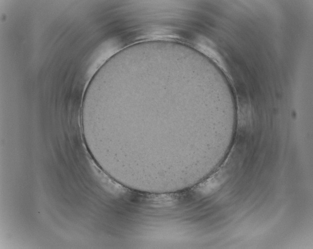 X0000076271338200610191730