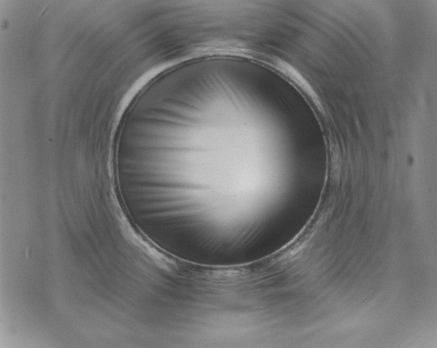 X0000076271339200610191730