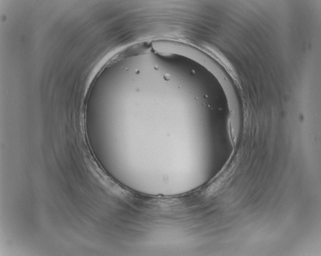 X0000076271340200610191730