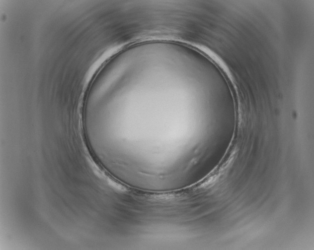 X0000076271341200610191730