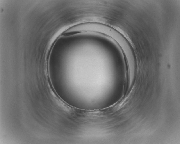 X0000076271342200610191730