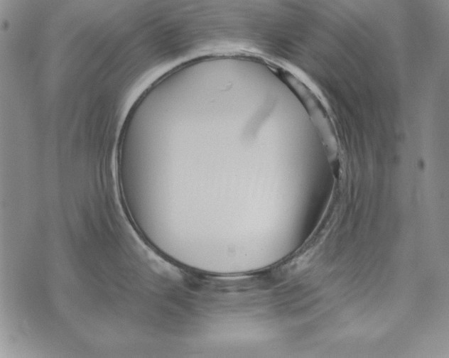 X0000076271343200610191730