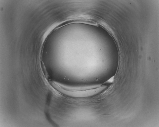 X0000076271344200610191730