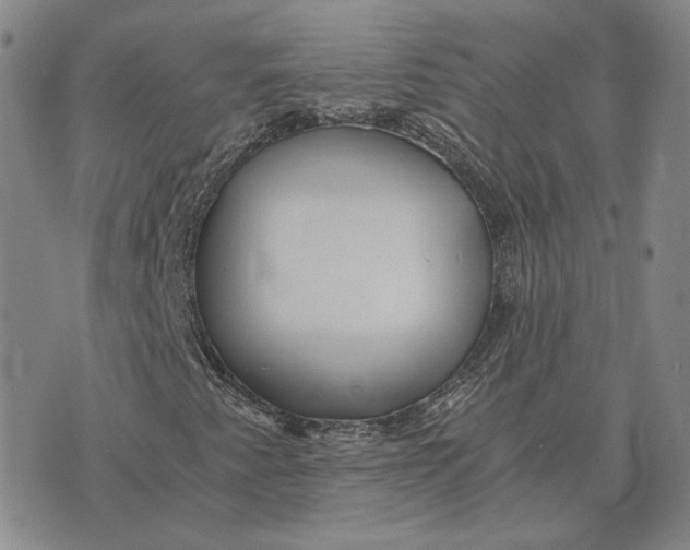 X0000076271345200610191729