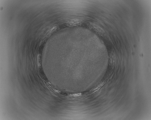 X0000076271346200610191729