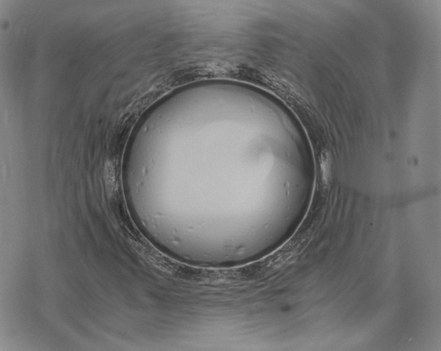 X0000076271347200610191729