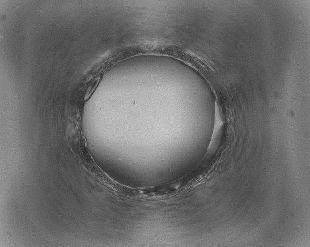 X0000076271349200610191729