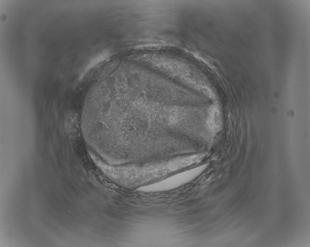 X0000076271351200610191729