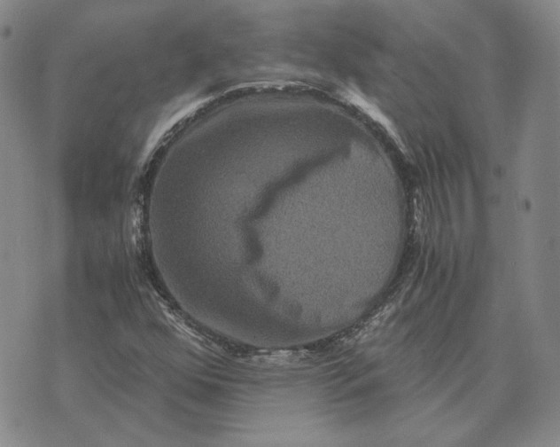 X0000076271352200610191729