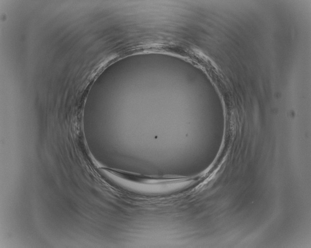 X0000076271353200610191729