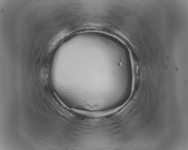 X0000076271355200610191729