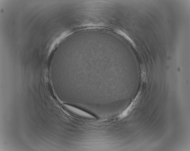 X0000076271357200610191729