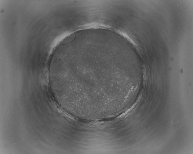 X0000076271358200610191729