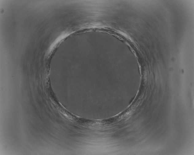 X0000076271359200610191729