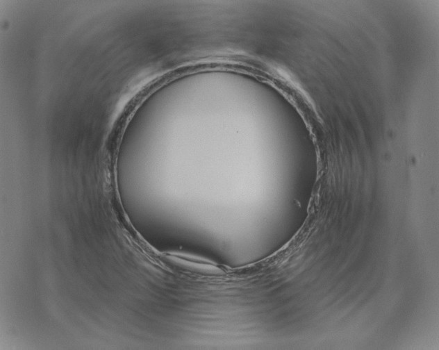 X0000076271360200610191729