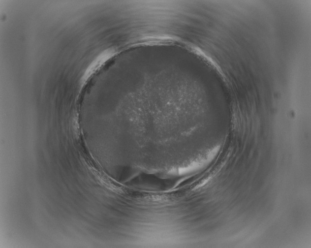 X0000076271362200610191729