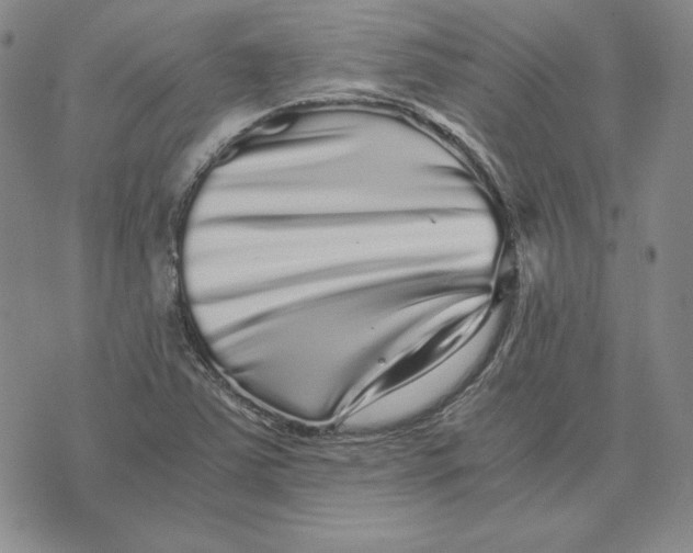 X0000076271363200610191729