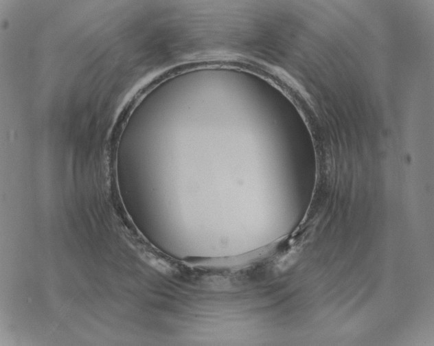 X0000076271364200610191729