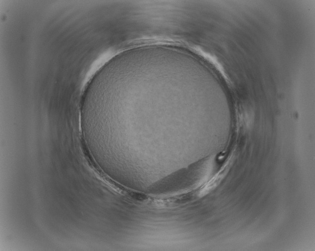 X0000076271365200610191729