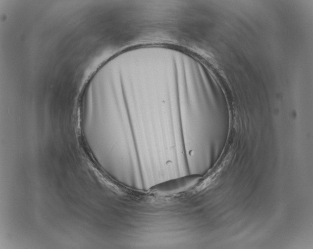 X0000076271366200610191729