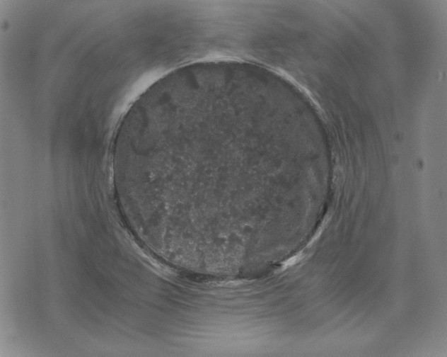 X0000076271367200610191729