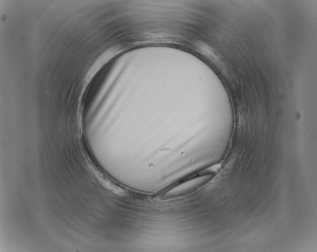 X0000076271370200610191729