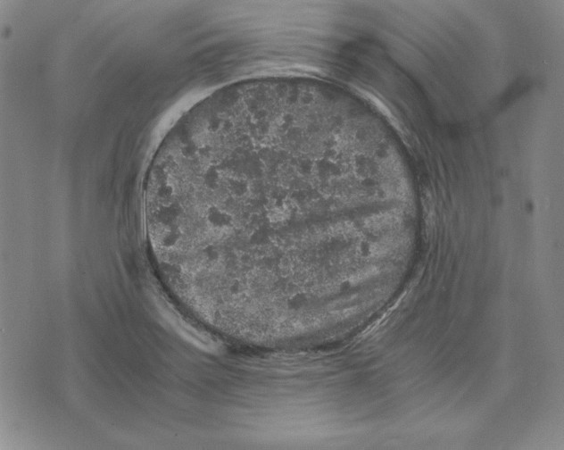 X0000076271371200610191729