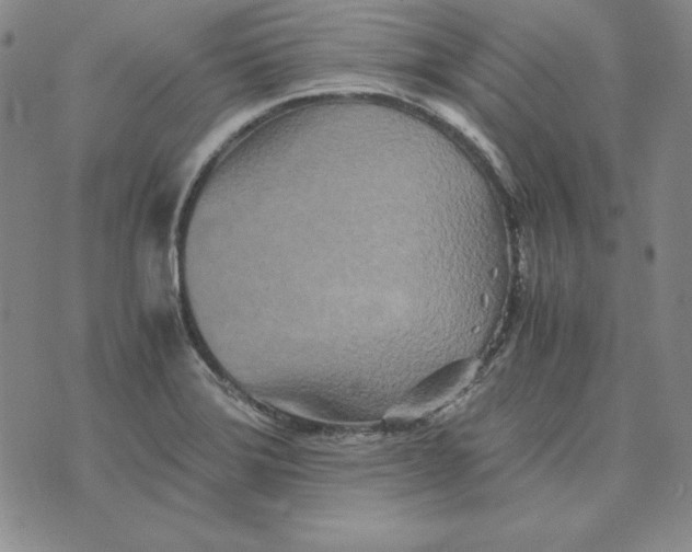 X0000076271372200610191729