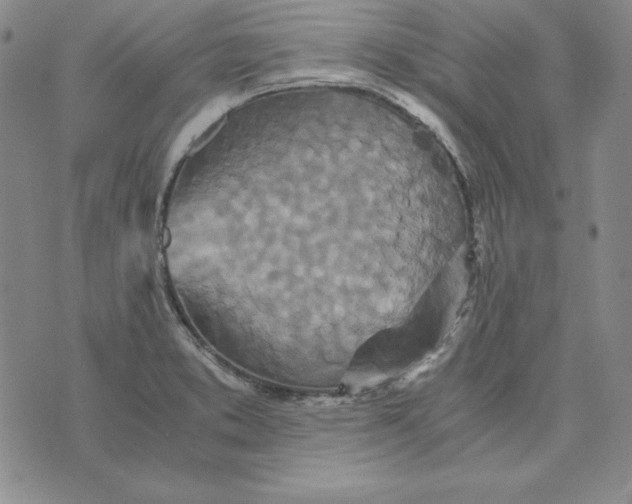 X0000076271373200610191729