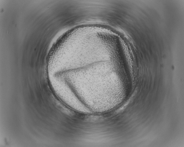 X0000076271374200610191729