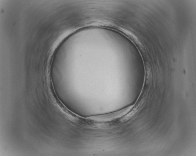 X0000076271375200610191728